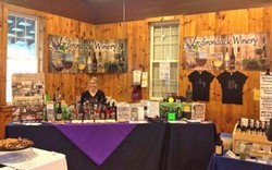 Our booth at the inaugural Hudson Berkshire Wine & Food Festival in May 2013.