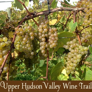Upper Hudson Valley Wine Trail