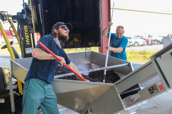 Our winemaking team