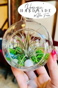 Uncork & Craft: Plant & Sip Wine Glass Terrariums
