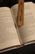 Lake George Wooden Bookmark with ADK Winery Logo - View 2