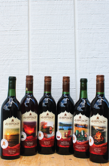 Perfect Red Wine Pack
