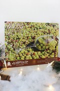 2023 Wall Calendar