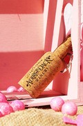 Adirondack Winery Logo Cork Wine Bottle Keychain