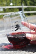Logo Stemless Flex Cups