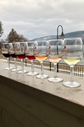Standard Wine Tasting Session Gift Certificate