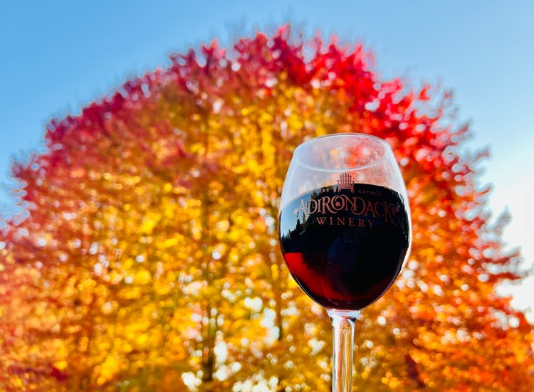 Glass of Adirondack wine with colorful tree in fall