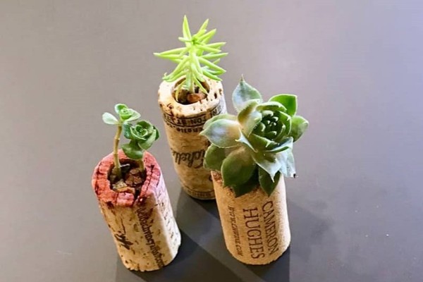 Wine cork mini planter
